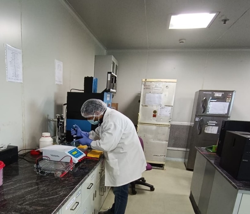 rubella testing