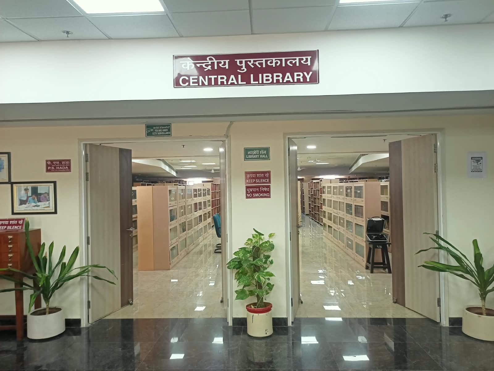 Library Book Shelves