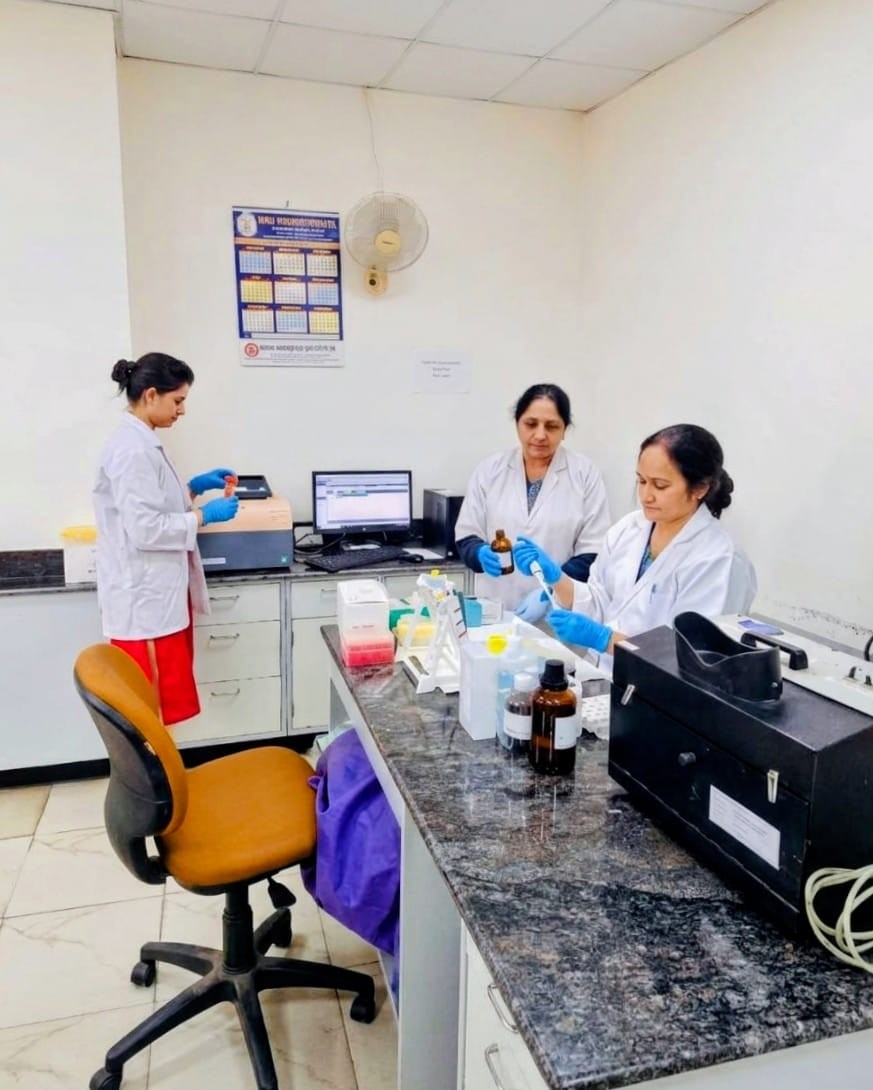 Virus Detection Lab